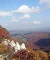 A Blue Ridge Mountain Creativity Revival