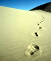 Three Steps to Intuitive Empowerment