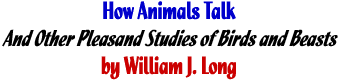 How Animals Talk 