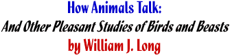 How Animals Talk